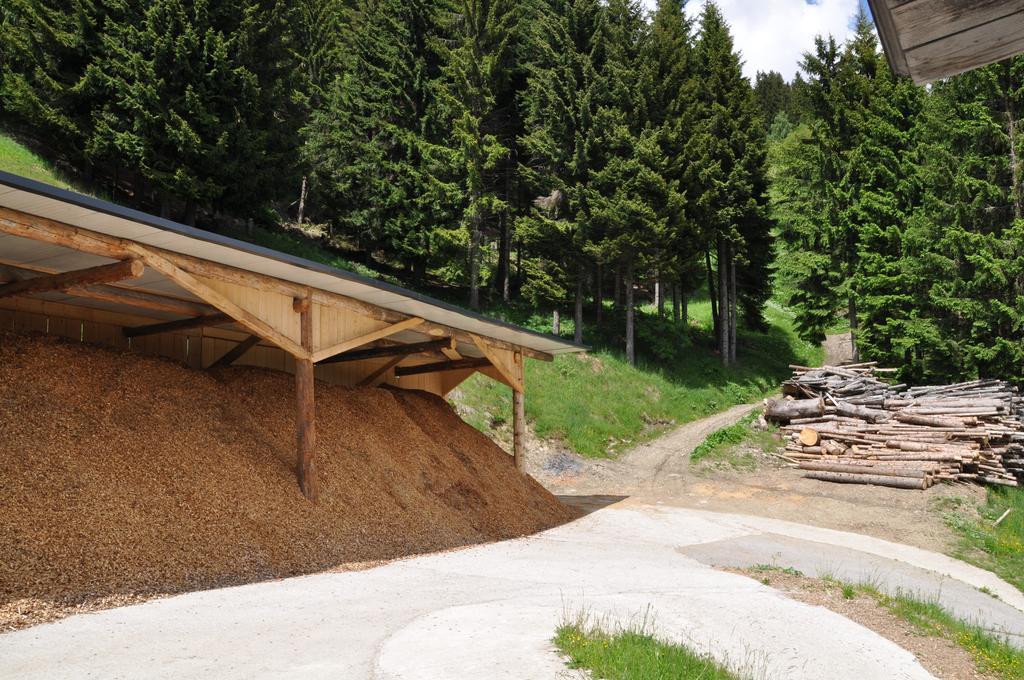 Ferienwohnung Almen-Kräuter-Oberreiter Dellach im Drautal Exterior foto