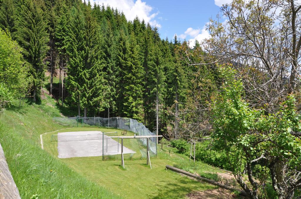 Ferienwohnung Almen-Kräuter-Oberreiter Dellach im Drautal Exterior foto